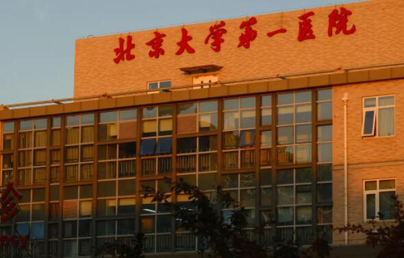 北京大学第一医院鼻部综合手术价格表，价格表详解，整形费用是否昂贵？