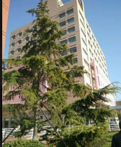北京大学第三医院整形科价格表，附植发中心案例反馈