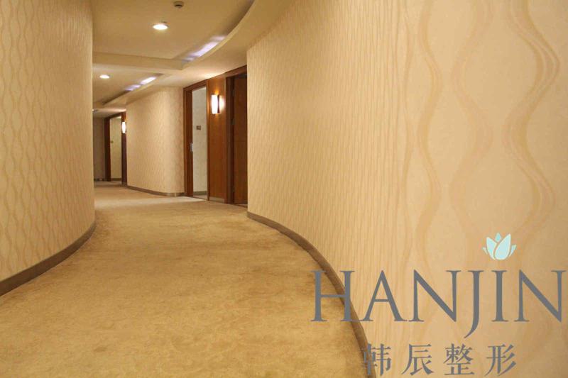 南京去抬头纹的最好医院有哪些？容丽妍、米尚恩、韩辰在线比对