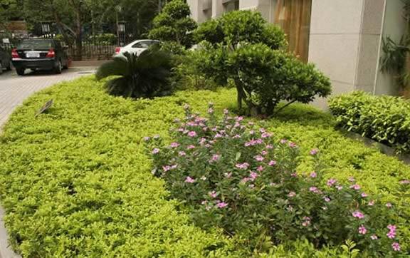 福州省立医院口腔科谢惠兰技术好吗(图2)
