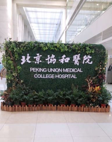 北京协和医院整形外科价格怎么样？医生信息-口碑-价格-地址