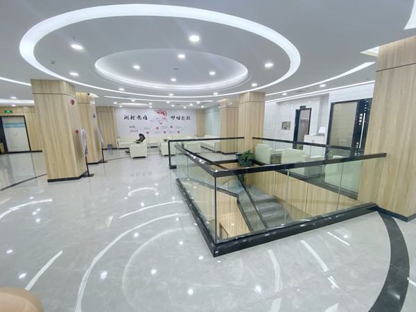 2024年荆州咿呀口腔：解析种植牙价格及服务优势