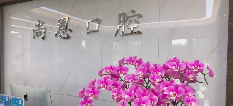 宁波尚恩口腔收费价格表2025新版一览，超全牙科收费必看！(图2)