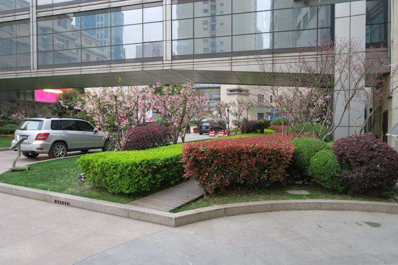 上海膨体假体隆鼻哪些整形医院好？当地10家口碑较高