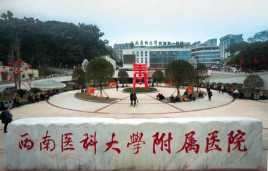 西南医科大学附属医院鼻部价目表2025，附医生信息