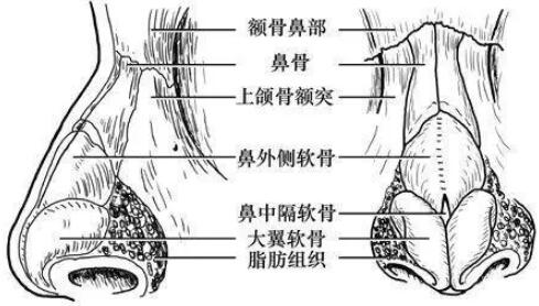西安鼻子修复哪个医生资质技术较好？杨万忠、金长鑫、蒋立等详情介绍！