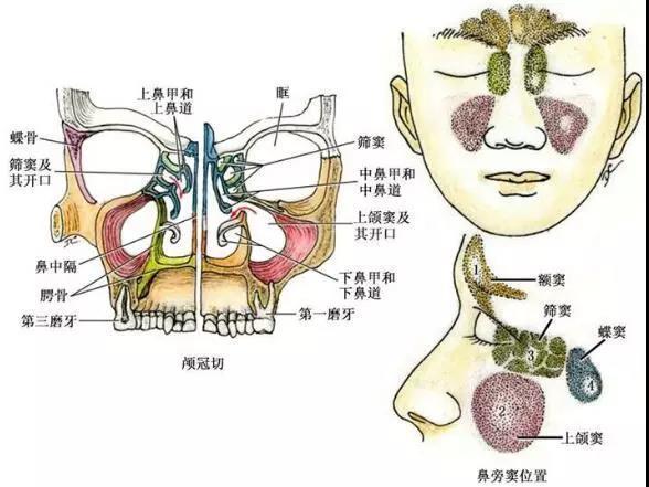 乌鲁木齐华美整形医院好不好？乌鲁木齐华美整形医院做隆鼻技术？