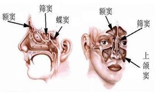 东莞圣美医疗美容门诊部正规吗？东莞圣美医疗美容门诊部收费水平高吗？