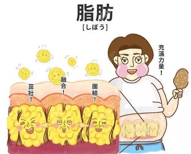 奢梵整形医院抽脂怎么样？多少钱，南宁奢梵整形医院医生技术好吗？
