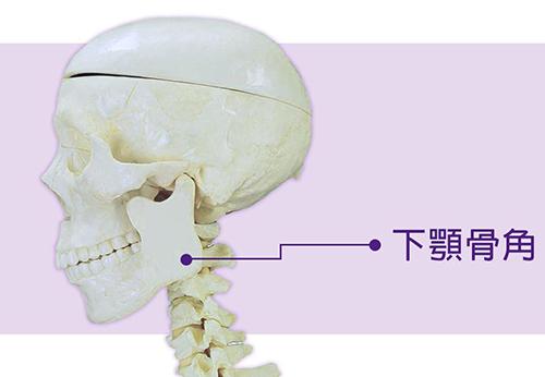 北京张笑天下颌角手术费用详解下颌角磨骨5W+颧骨内推6W+下颌角加颧骨10W+(图1)