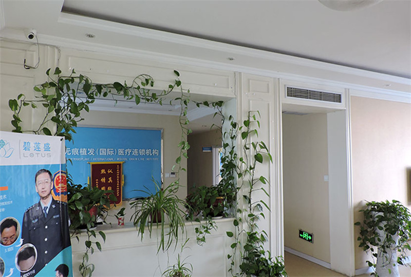 济南头顶加密种植多少钱？价格可参考梅奥、曹博士、碧莲盛这几家技术好的医院(图2)