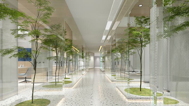 雍禾植发全国连锁（北京总院）汪松林怎么样？门诊时间表案例分享2025年最新价格表