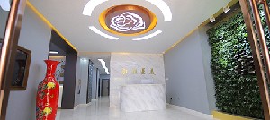 2024年保定整形机构全解析：公立与私立医院深度盘点(图11)