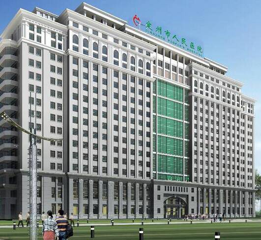 2024年保定整形机构全解析：公立与私立医院深度盘点(图7)