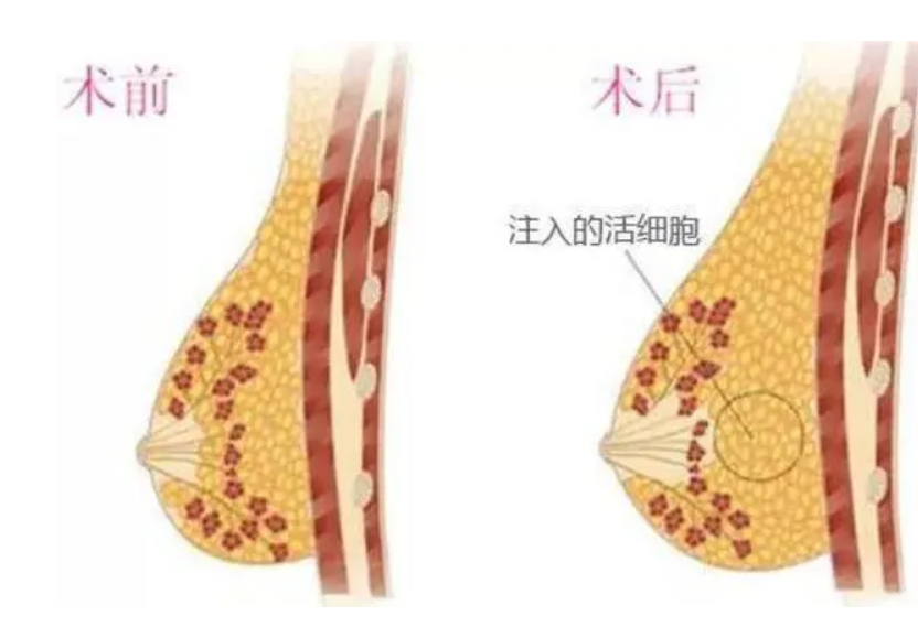 尹卫东(图3) 微信截图_20230313173417.png
