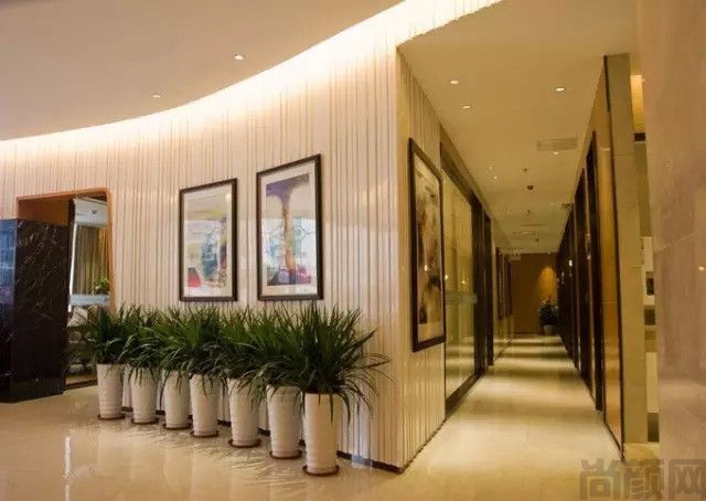 上海植发机构前六强新鲜出炉丨米兰、新生、碧莲盛无痕等实力上榜(图1)