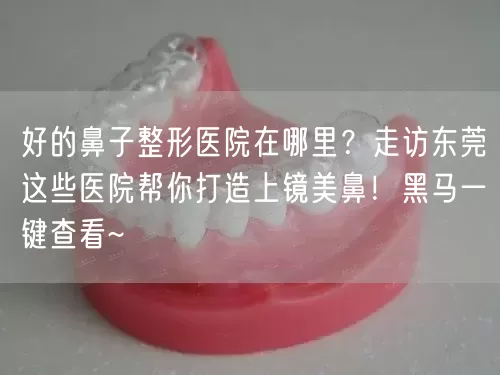 好的鼻子整形医院在哪里？走访东莞这些医院帮你打造上镜美鼻！黑马一键查看~