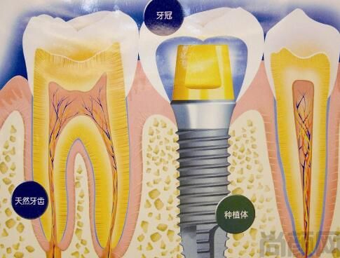 重庆泰康拜博口腔医院(图2) QQ截图20230526113850.jpg