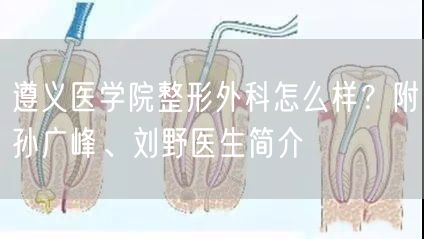 遵义医学院整形外科怎么样？附孙广峰、刘野医生简介