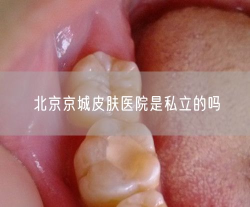 北京京城皮肤医院是私立的吗