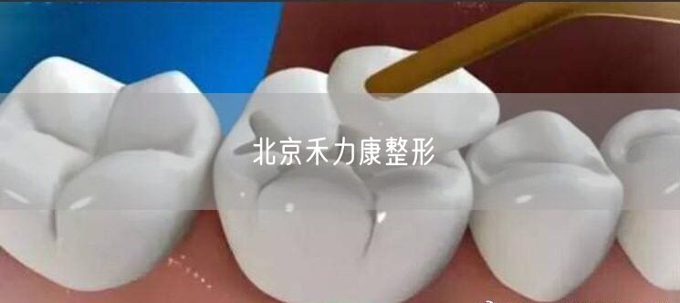 北京禾力康整形(图1) 北京禾力康整形(图1)