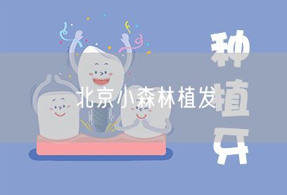 北京小森林植发(图1) 北京小森林植发(图1)