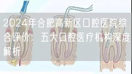 2024年合肥高新区口腔医院综合评价：五大口腔医疗机构深度解析