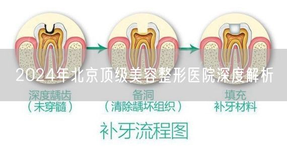 2024年北京顶级美容整形医院深度解析