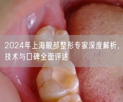 2024年上海眼部整形专家深度解析，技术与口碑全面评述