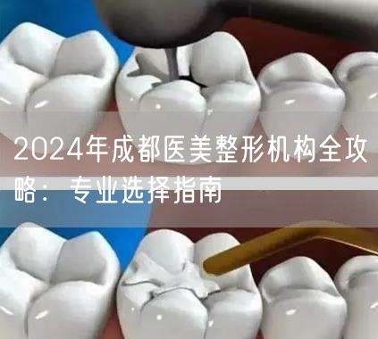 2024年成都医美整形机构全攻略：专业选择指南