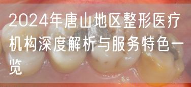 2024年唐山地区整形医疗机构深度解析与服务特色一览