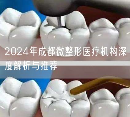 2024年成都微整形医疗机构深度解析与推荐