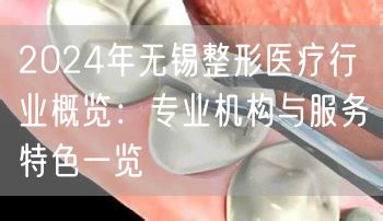 2024年无锡整形医疗行业概览：专业机构与服务特色一览
