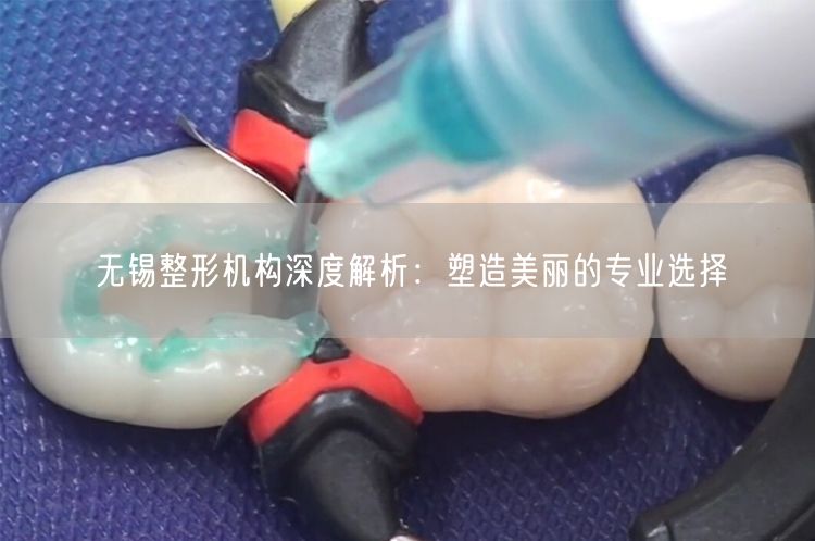 无锡整形机构深度解析：塑造美丽的专业选择