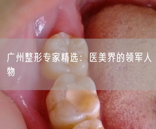 广州整形专家精选：医美界的领军人物