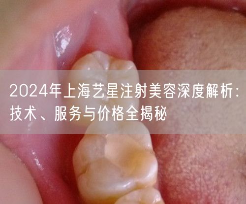 2024年上海艺星注射美容深度解析：技术、服务与价格全揭秘