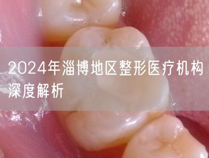 2024年淄博地区整形医疗机构深度解析