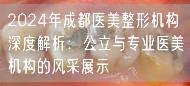 2024年成都医美整形机构深度解析：公立与专业医美机构的风采展示