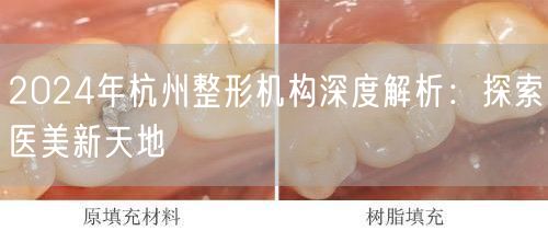 2024年杭州整形机构深度解析：探索医美新天地