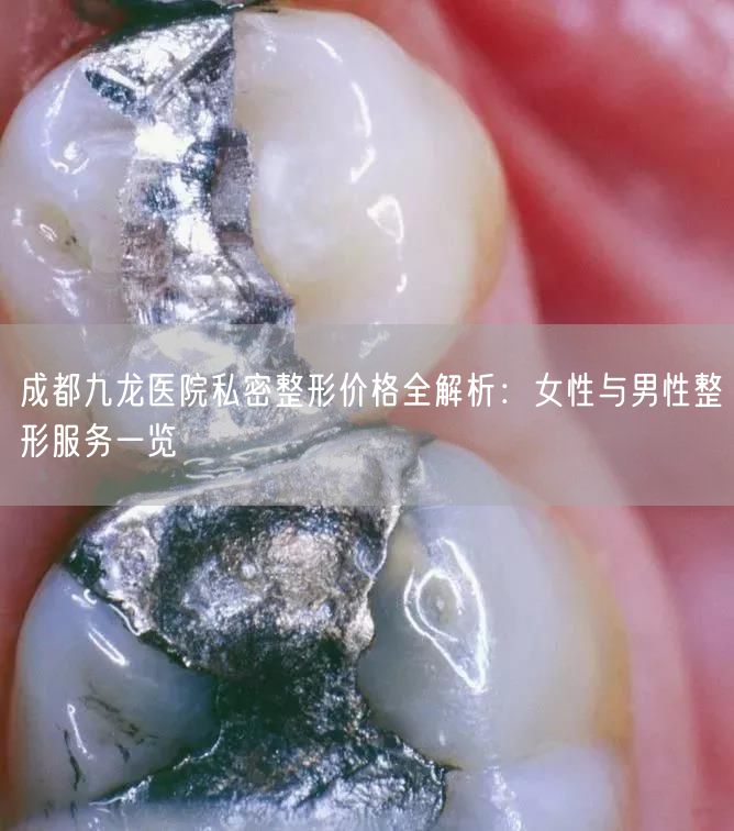 成都九龙医院私密整形价格全解析：女性与男性整形服务一览