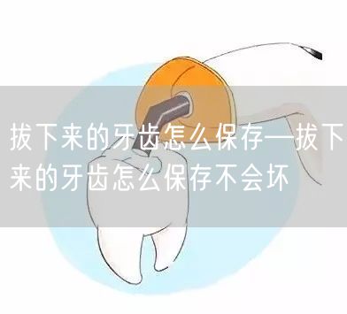 拔下来的牙齿怎么保存—拔下来的牙齿怎么保存不会坏(图1)