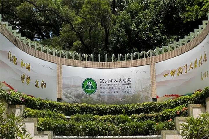 2025年深圳整形医院排名前三的医院推荐，市人民医