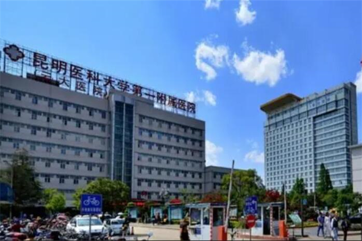 探索国内整形医疗的顶尖选择(图1)