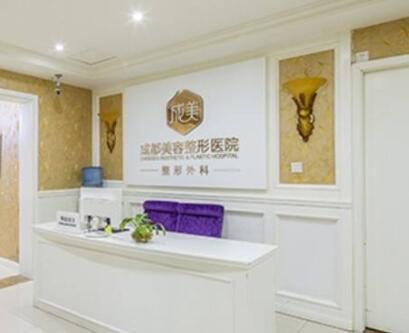 成都整形医疗指南：2024年精选美容医院推荐