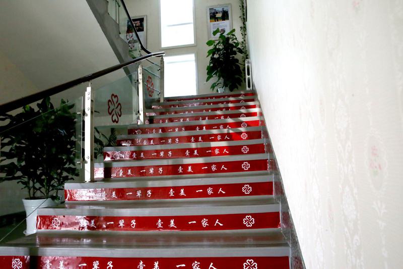 烟台整形好去处：2024年医院排名推荐，哪家更胜一筹？