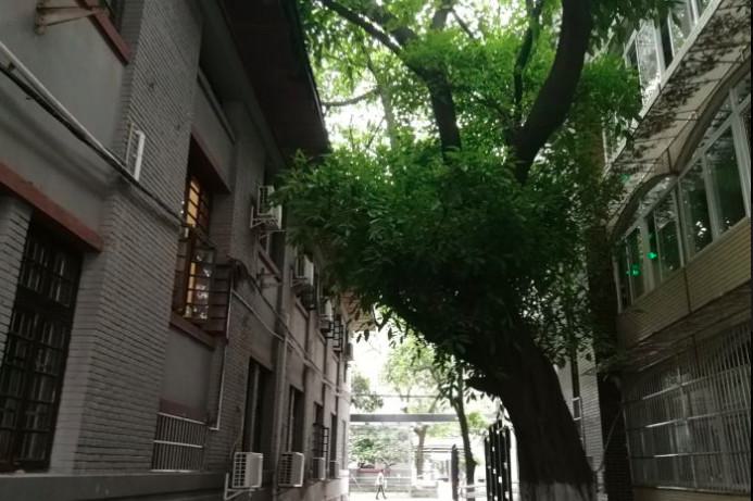 成都面部年轻化整形医院推荐：盘点哪家医院好，有哪些专家服务