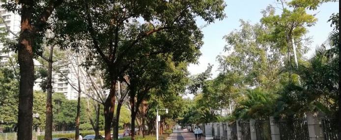 深圳牙疼去哪个医院看好？排名前三公开，看看有没有你