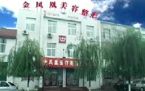 唐山金凤凰医疗美容热门整形价格表曝光