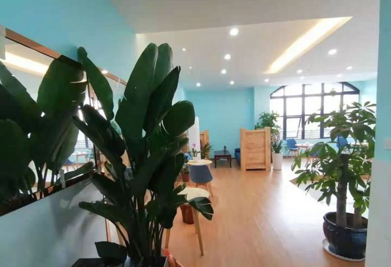 深圳种植牙哪家医院好？这三家医院排名靠前并公布价格！
