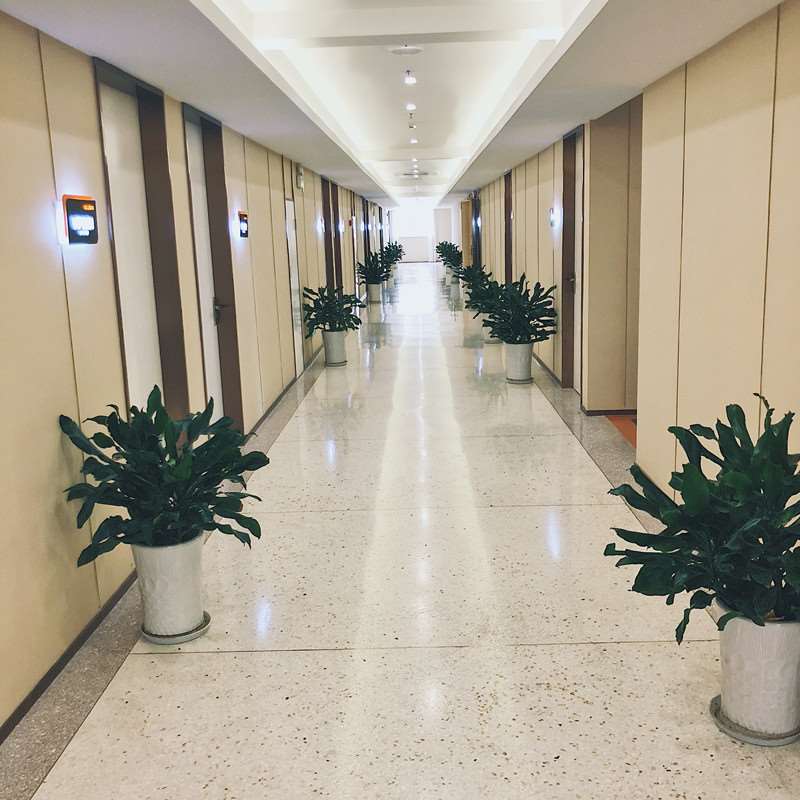 南通手术延长鼻小柱整形医院推荐，推荐的都是好的医院！(图2)